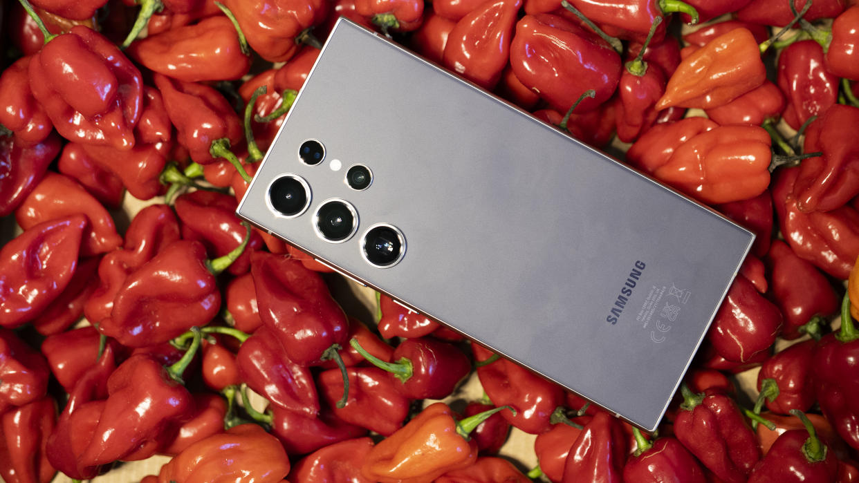  A Samsung Galaxy S24 Ultra sitting on top of a pile of red chillies. 