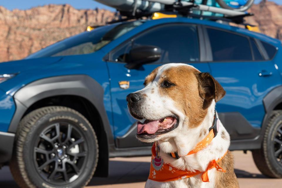 Aida Cole, Subaru of America assistant chief of barketing.