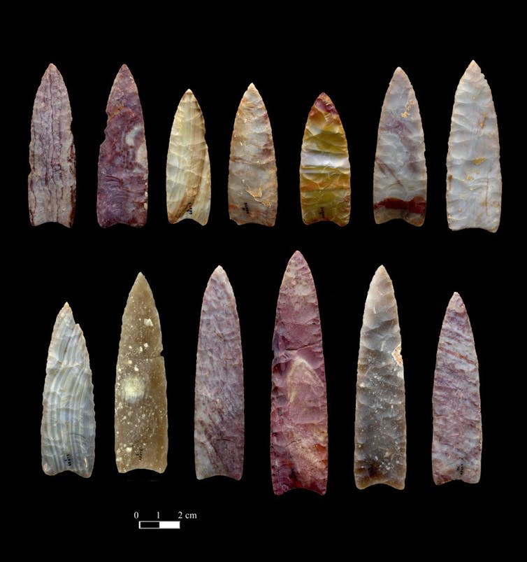<span class="caption">13,000-year-old spear points from Colorado.</span> <span class="attribution"><span class="source">Chip Clark, Smithsonian Institution</span></span>