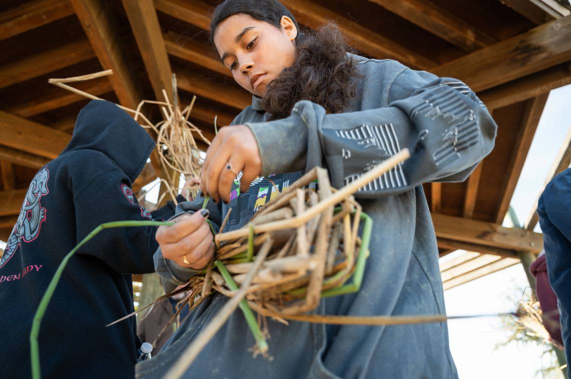 Annissa Davis, 14, from the Yocha Dehe Wintun Nation, learns how to make a bundle with reeds that were used during the Leok Po cultural burn demonstration using Indigenous knowledge and customs Friday. Hector Amezcua/hamezcua@sacbee.com