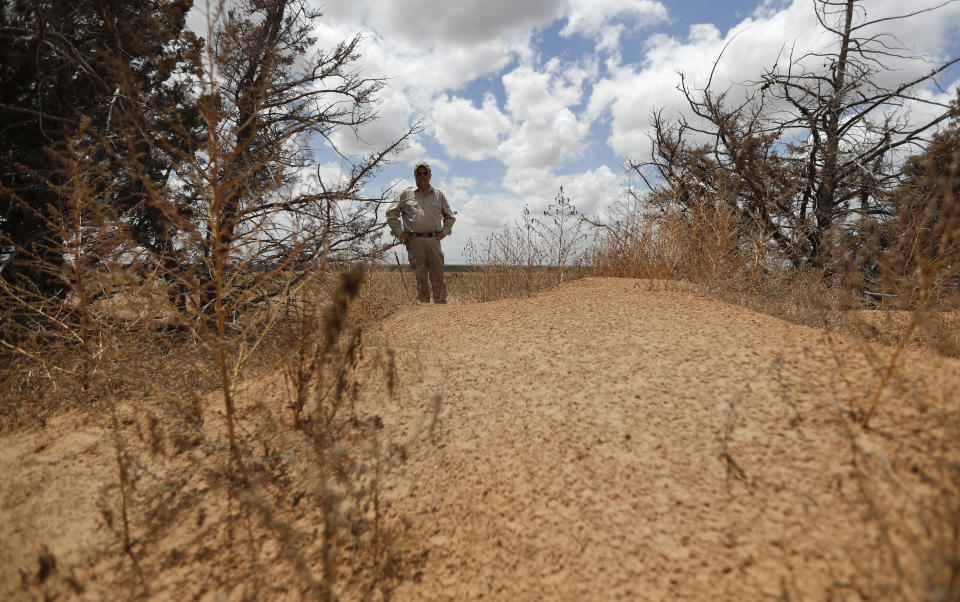 Jude Smith, a biologist at the Muleshoe National Wildlife Refuge outside Muleshoe, Texas, looks at a big mound of sand on his property on Tuesday, May 18, 2021. A dust storm deposited the sand over a two-day period this spring. The U.S. Department of Agriculture is encouraging farmers in a “Dust Bowl zone” that includes parts of Texas, New Mexico, Oklahoma, Kansas and Colorado to preserve and establish grasslands to help hold soil in place. (AP Photo/Mark Rogers)