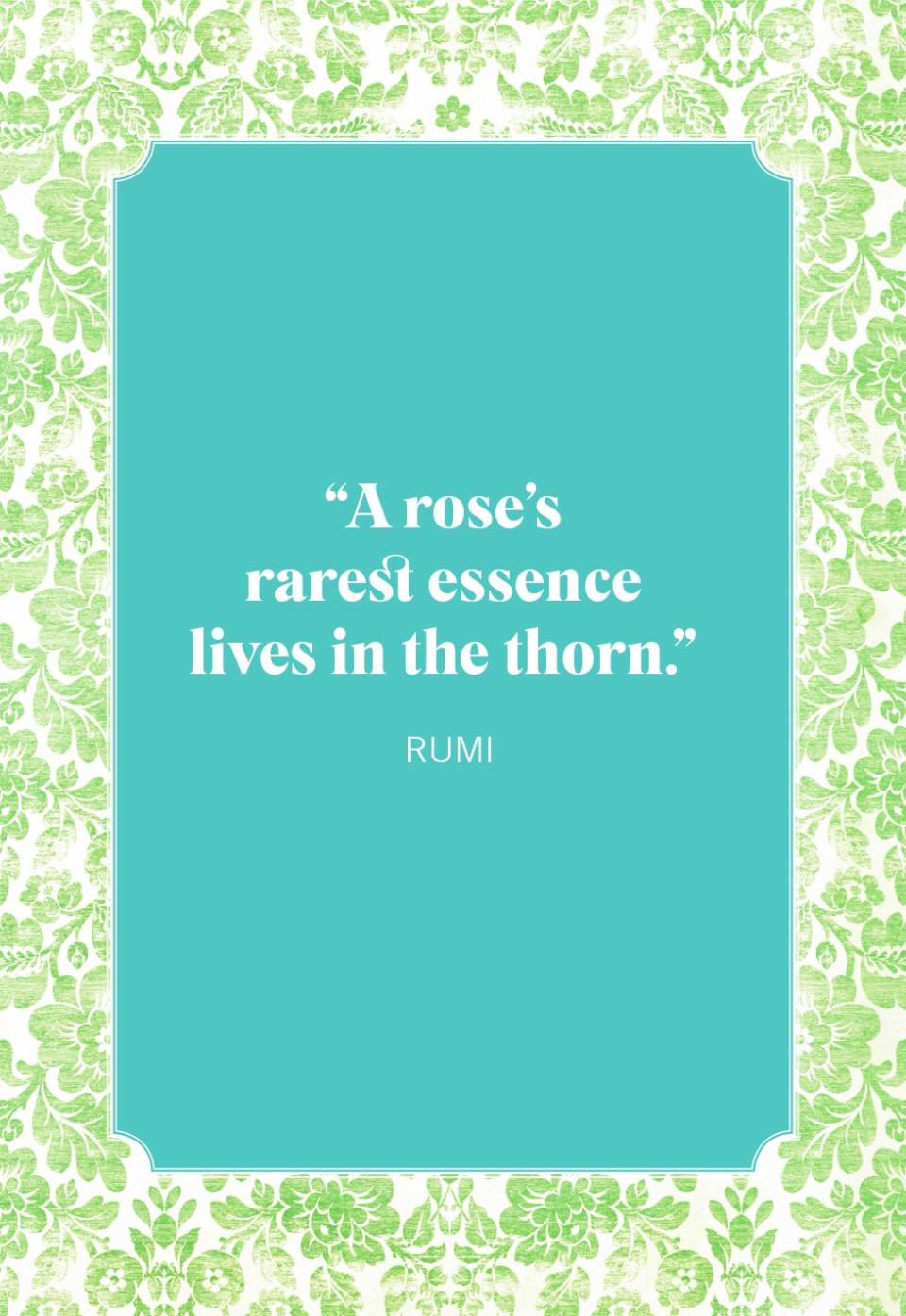 flower quotes roses