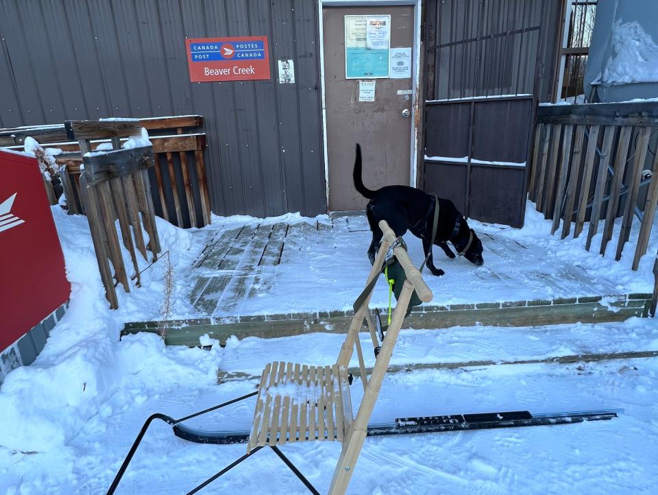 a dog and a sled out side of the post office in beaver creek canada