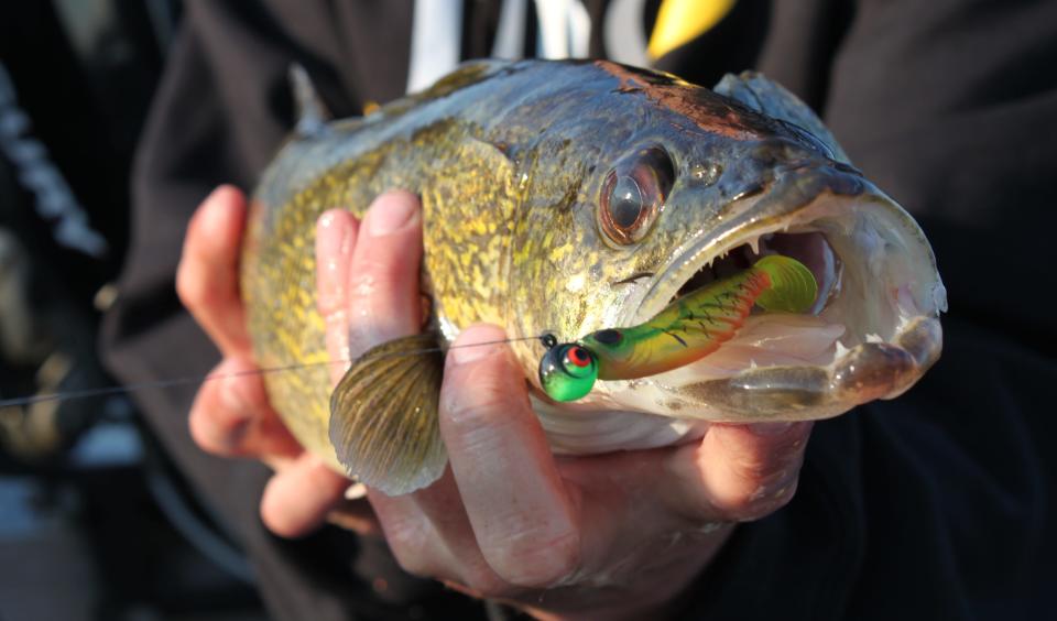 Lake Erie sport fishing generates $1.9 billion a year in economic benefits, and walleye are easily the most desired catch among all the pursued species.