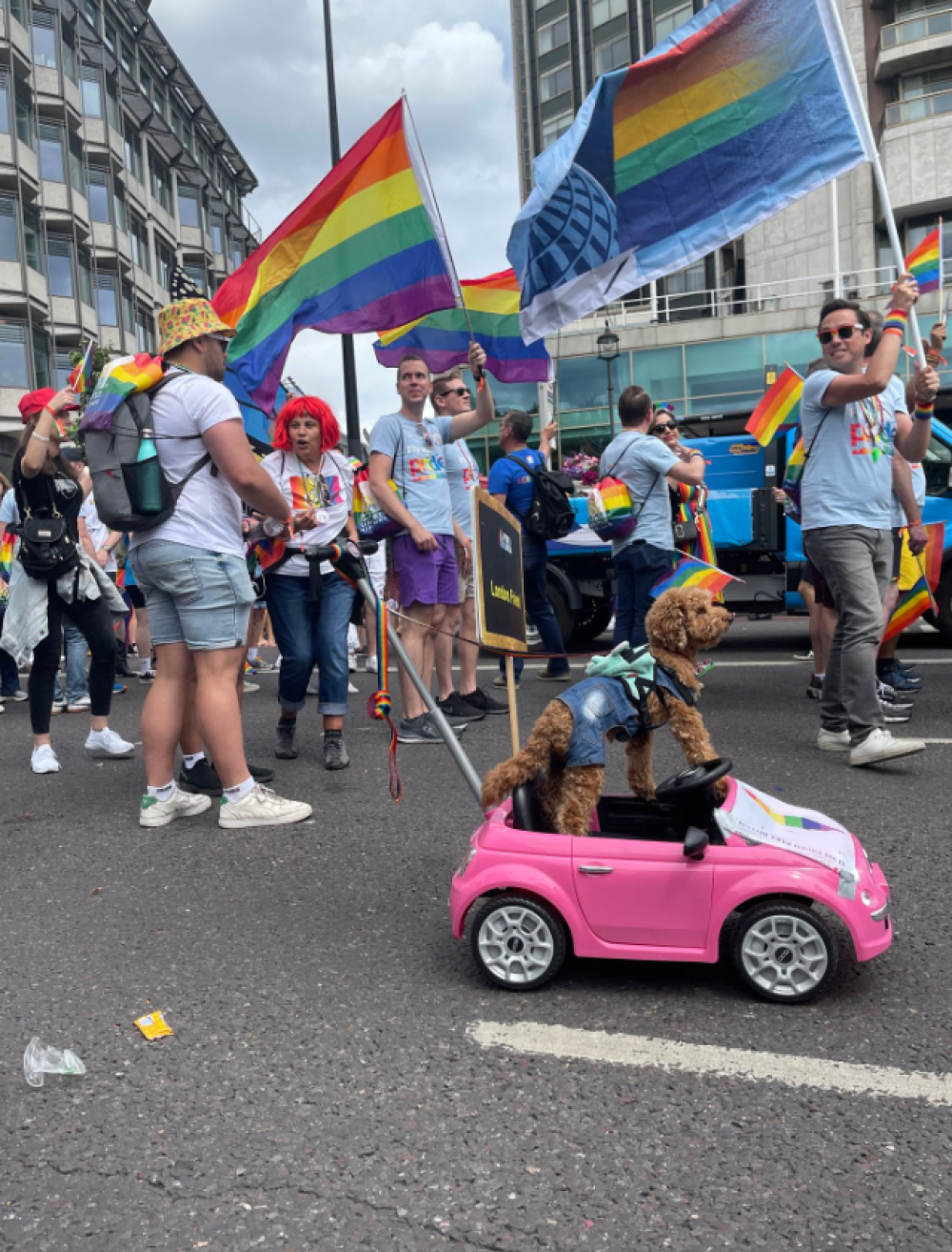 Dog at Pride