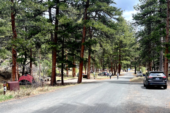 RMNP proposes price changes for campgrounds