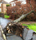 High winds whipped through Rugby, Warwickshire, causing severe damage to houses across the town. Fences and trees were uprooted in the “mini tornado” which fortunately saw no injuries. Picture- Diane Slater.