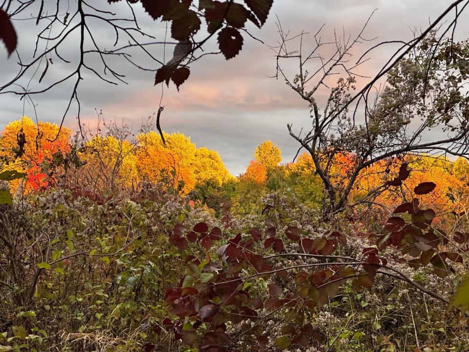 The sunsets at Silve Lake Nature Center in Bristol Township, lighting up the fall foilage on Wednesday, Oct. 18, 2023. Leaves around Pennsylvania are at or appraoching their best color for the season.