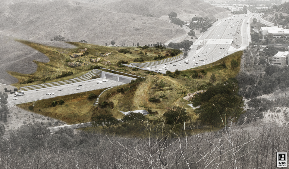The Wallis Annenberg Wildlife Crossing, as shown in this artist's rendering, is landscaped with native plants to look like natural habitat. The bridge will stretch 210 feet over Highway 101 to give mountain lions, coyotes, deer and other wildlife a safe path to the nearby Santa Monica Mountains. It is expected to be completed by fall 2024.
