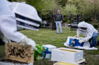 Jacques Pitteloud, the Swiss ambassador to the U.S., center, watches as beekeepers Sean Kennedy, right, and Erin Gleeson, left, set up hives at the corner of the Swiss residence where the ambassador has offered space for new hives for captured swarms of honeybees in Northwest, Monday, April 20, 2020, in Washington. (AP Photo/Andrew Harnik)