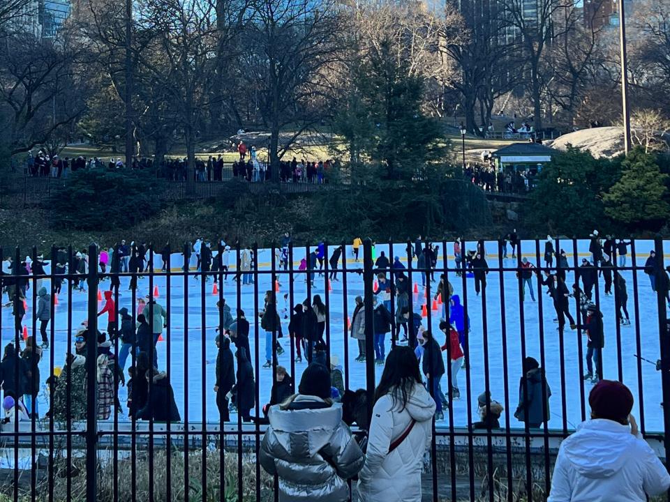 ice skating rink fence