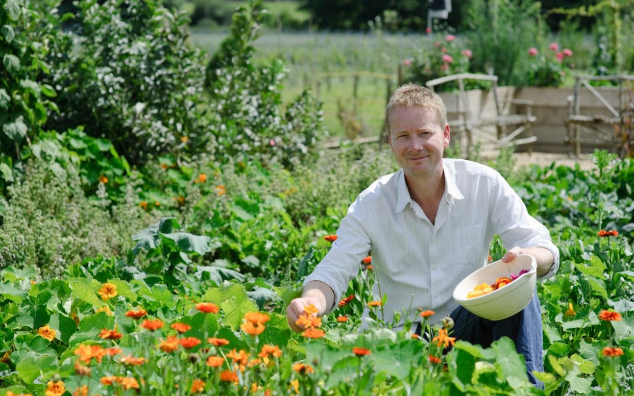 how to grow vegetable patch garden gardening tips spring now 2021 - Jason Ingram
