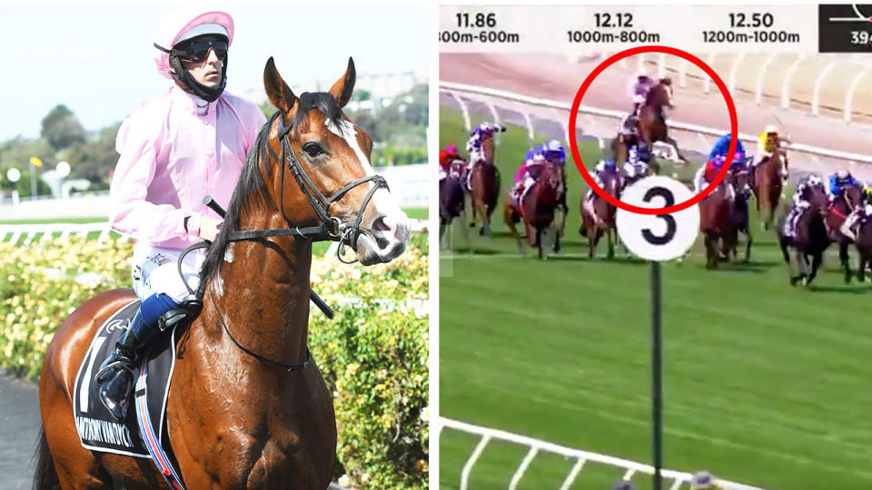 Jockey Hugh Bowman riding Anthony Van Dyck (pictured left) before the Melbourne Cup and the horse pulling up (pictured right) injured.