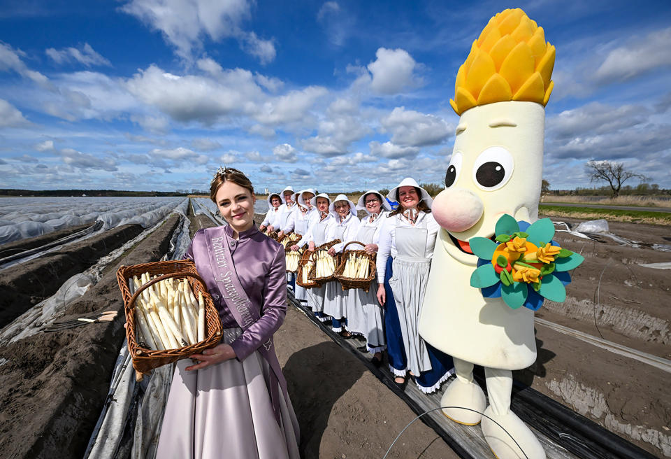 The new asparagus queen, Charlotte Schmidt, stands in a field with women and the mascot Spargelino at the start of the asparagus season in Brandenburg, Germany, on April 13, 2023.