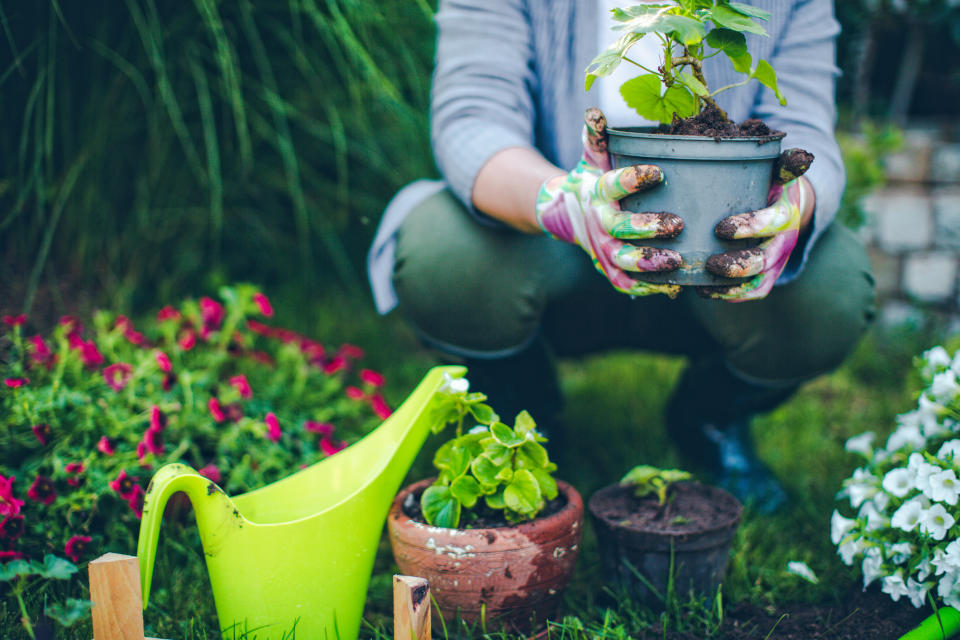 Use washing up water to water your plants. (Getty Images)