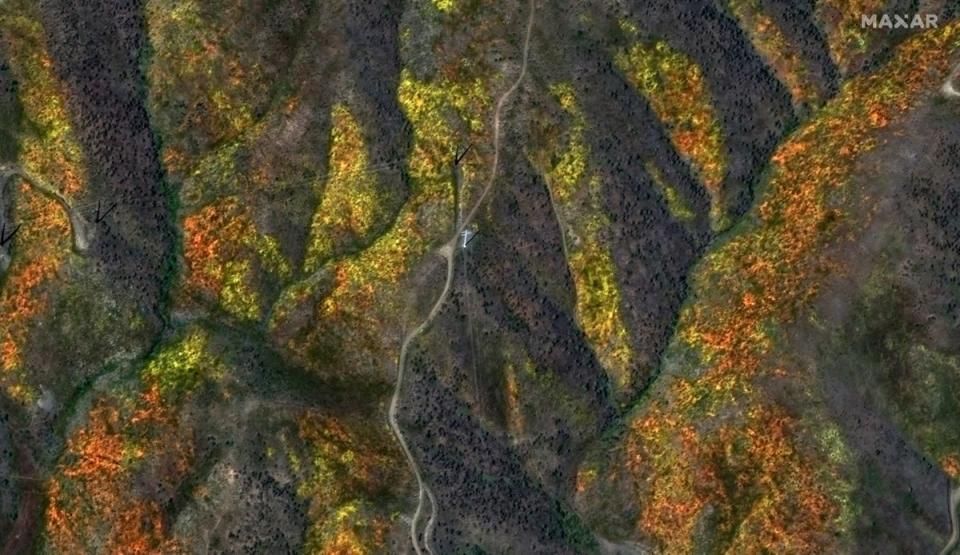 Wildflower blooms in the hills and canyons around Palmdale, California earlier this month (Satellite image ©2023 Maxar Technologies)