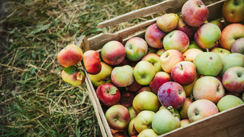 apples in wooden crate