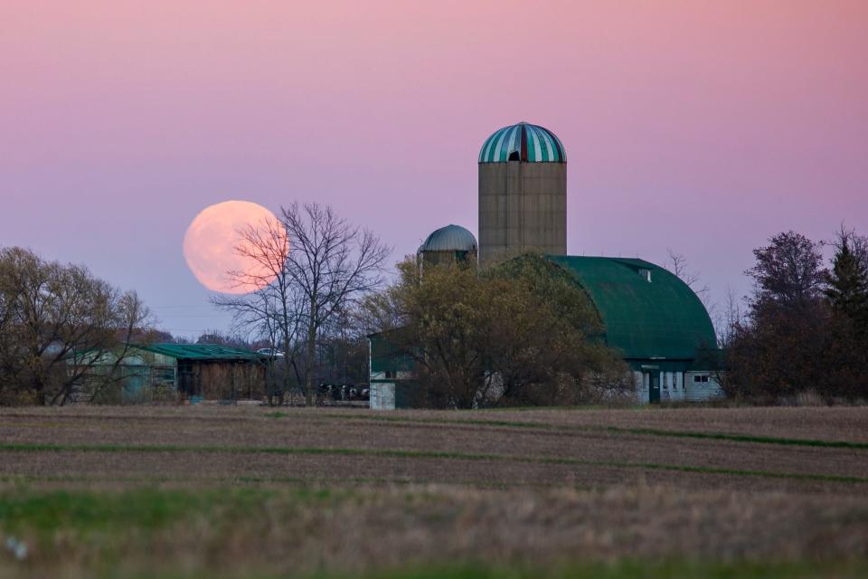 April's full moon is the pink moon. It welcomed the appearance of the first spring flowers. It has also been called the sprouting grass moon, the egg moon and the fish moon. Here the moon is seen between the branches of a catalpa tree on a Northern Warrick County farm in Indiana.