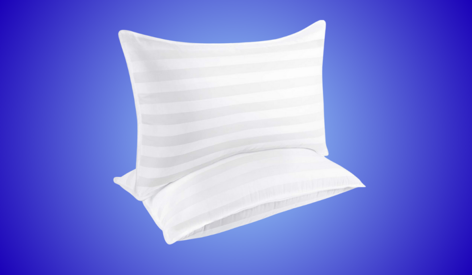 Two Cozsinoor pillows.