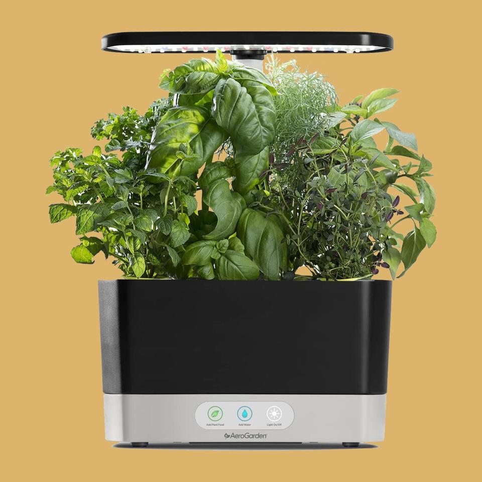 AeroGarden Harvest with Gourmet Herb Seed Pot Kit