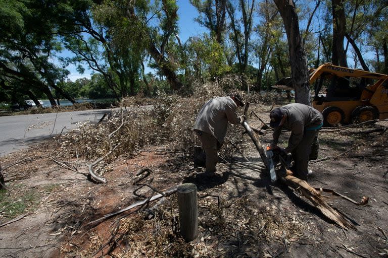 Empleados del Gobierno de la Ciudad trabajando en el Parque 3 de febrero