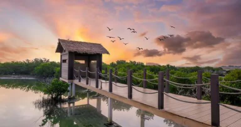 Isla Púrpura de Qatar.