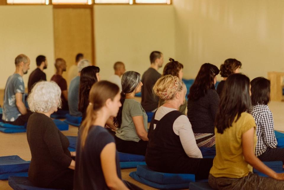 Men and women are separated, even in the meditation hall – just one of the many rules on a 10-day course (Dhamma Sukhakari)