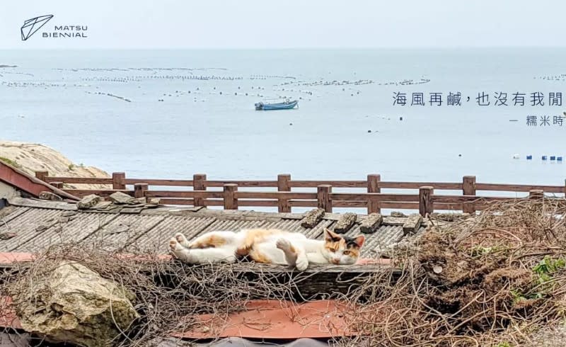 作品承繼馬祖在地歷史、地理、人文、產業。（圖／翻攝自馬祖國際藝術島IG）