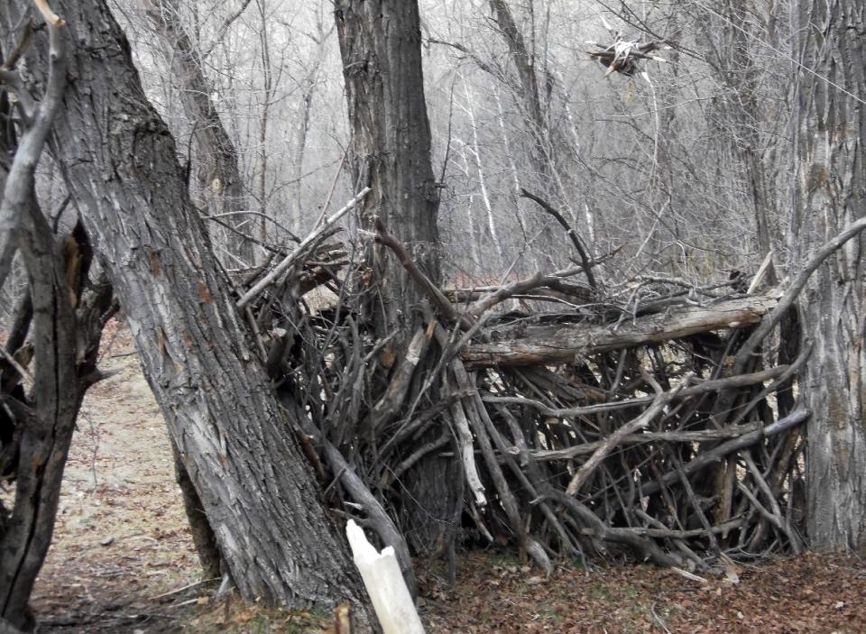 This photo released on Monday April 23, 2012 by the Utah County Sheriff's Department shows a crude shelter made of dead tree limbs housing booby traps found in a Provo Canyon, Utah. Two men have been arrested on suspicion of setting the traps and were booked Saturday into the county jail for investigation of misdemeanor reckless endangerment. (AP Photo/Utah County Sheriff Department)