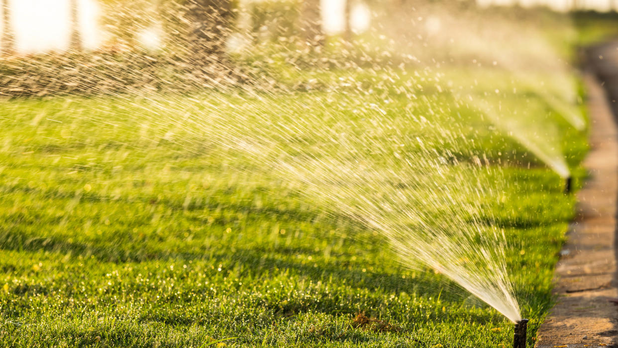  A yard being watered by sprinklers 