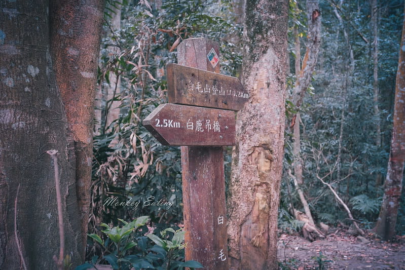 台中｜谷關七雄 白毛山步道