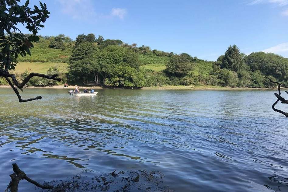 The Helford Estuary is well known as a strandings trap for dolphins due to its many tidal, muddy creeks (PA)