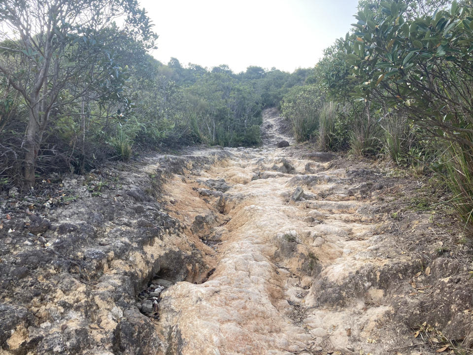 行山路線｜雞公山行山路線：高難度麥理浩徑第三段 一覽西貢群山大海