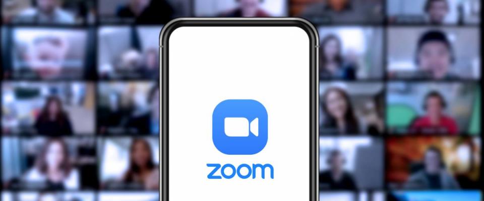 Zoom app and meetings