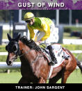 2015 ATC Oaks winner Gust Of Wind will have admirers leading into the Melbourne Cup.