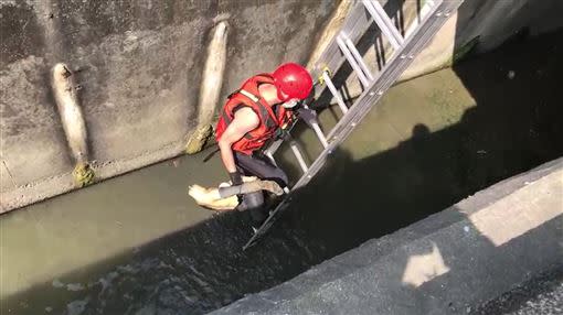 消防員無奈將塑膠假人撈上岸。（圖／翻攝畫面）