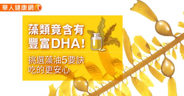 藻類竟含有豐富DHA！挑選藻油5要訣，吃的更安心