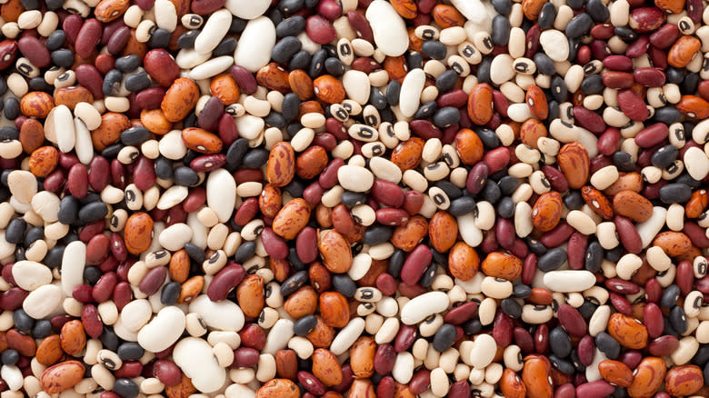 A mixture of dried bean varieties 