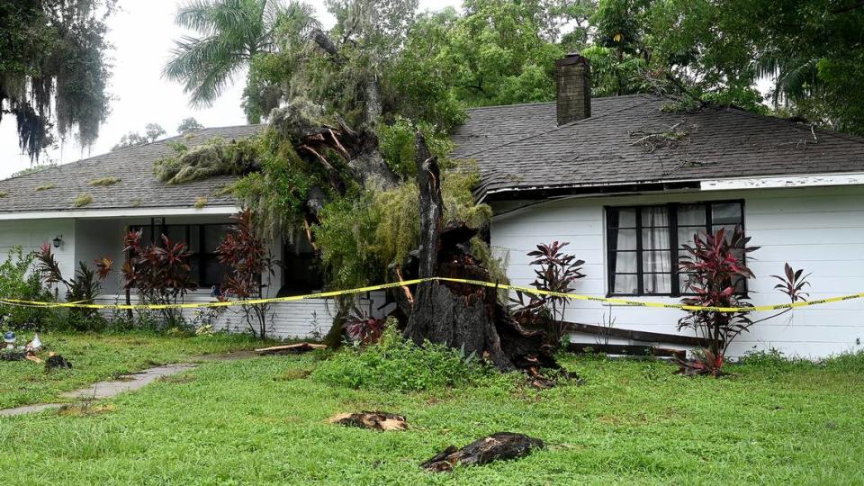 A home in the 1200 block of 21st Street West was hit by a falling tree on Monday, Aug. 5, 2024, after Hurricane Debby soaked Manatee County.