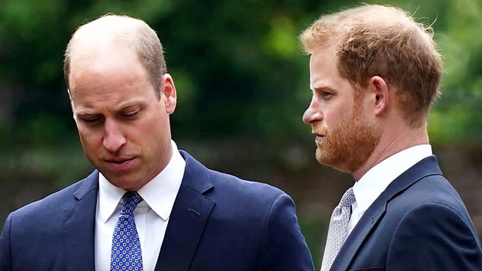 Princes Harry and William Unveil Diana Statue: Royal Expert and Body Language Reader Decode Reunion