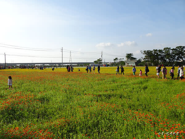 桃園花彩節-楊梅場27.jpg