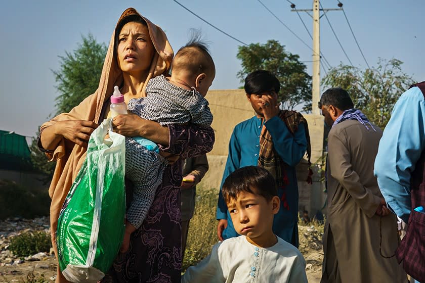 A group of Afghans.