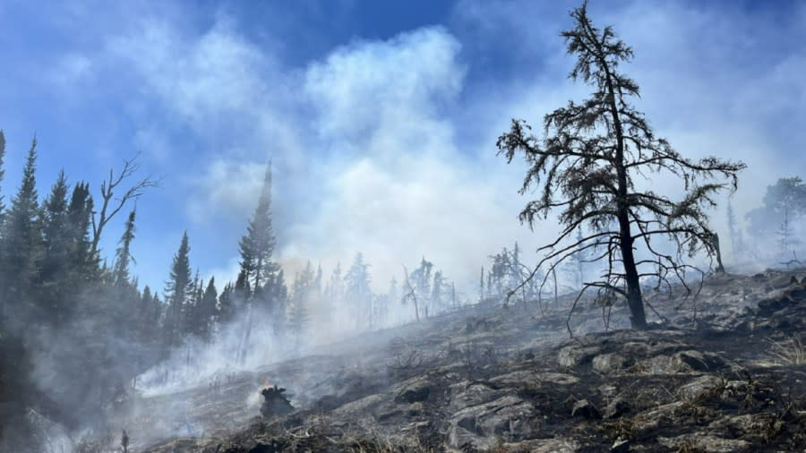 A look at some of the damage done by the 2022 Mount Franklin Fire in Isle Royale National Park. (Courtesy National Park Service)