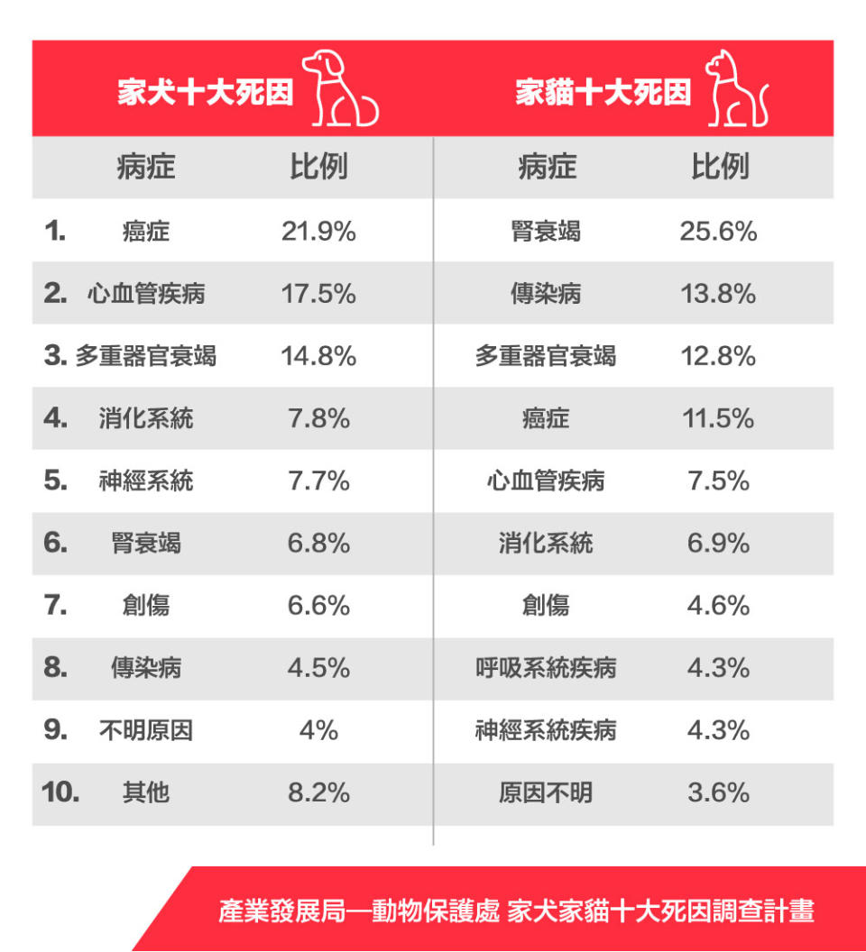 飼主對犬心臟病認知不足，易錯失治療時機