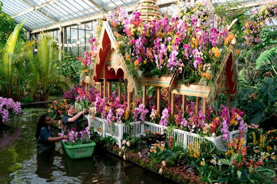 <p>Can't hold out for spring to visit your first garden show? In February, The Royal Botanic Gardens at Kew hold an annual orchid festival – and it's a wonderful display. </p><p>For 2020, the theme is Indonesia to celebrate Kew’s vital science work in the country. In the immersive glasshouse you'll encounter an erupting volcano created from orchids and other tropical flowers, as well as after-hours events featuring Indonesian music, dance and cuisine, and a series of talks from Kew's orchid experts. <br></p><p><strong>Kew Orchid Festival (8 February - 8 March 2020)</strong></p><p>Ticket included in entry price, starting from £16.50</p><p><a class="link " href="https://go.redirectingat.com?id=127X1599956&url=https%3A%2F%2Fwww.seetickets.com%2Ftour%2Fkew-gardens&sref=https%3A%2F%2Fwww.housebeautiful.com%2Fuk%2Fgarden%2Fg30414433%2Fgarden-show%2F" rel="nofollow noopener" target="_blank" data-ylk="slk:BUY NOW;elm:context_link;itc:0;sec:content-canvas">BUY NOW</a><br></p>