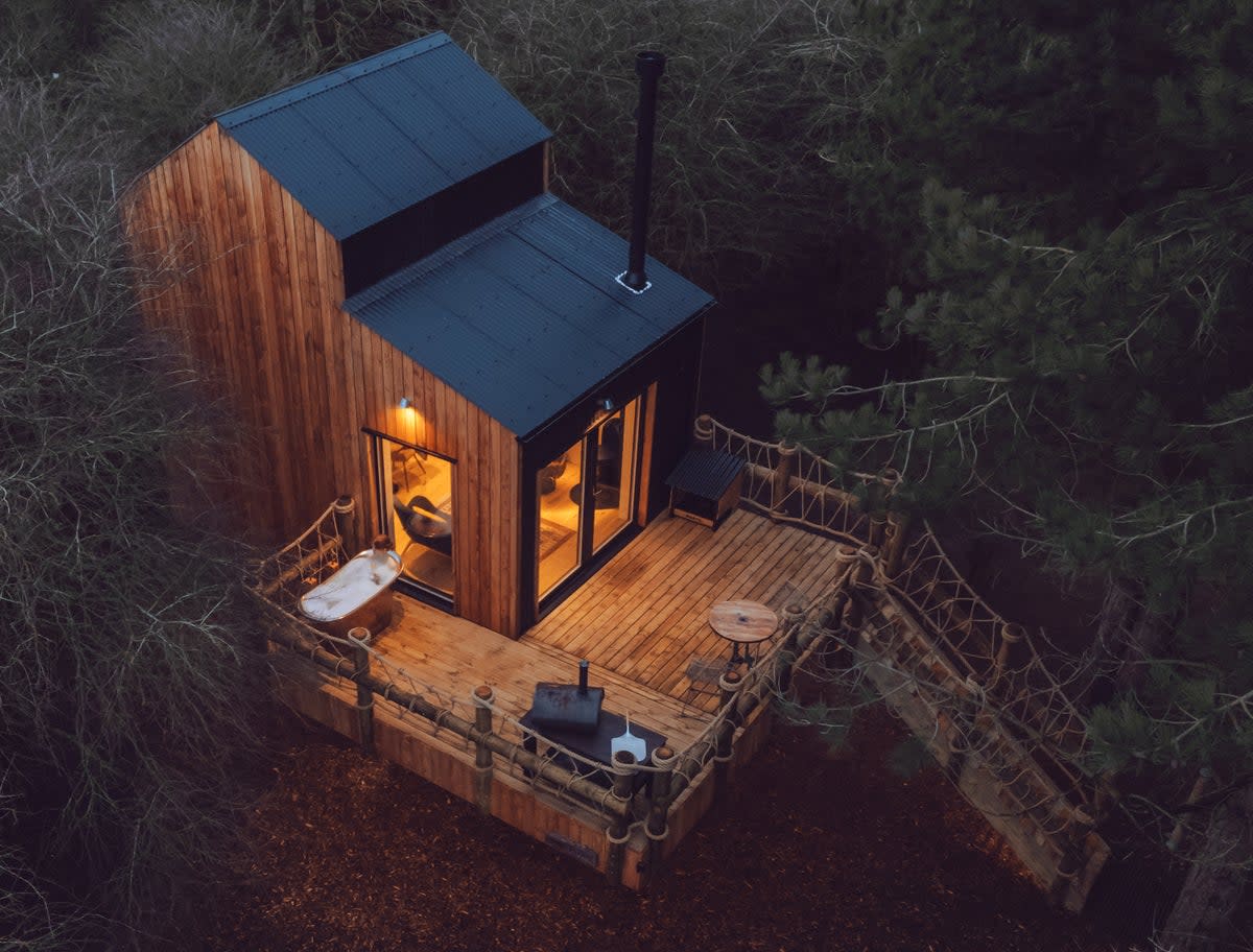 An aerial shot of Two Pines Treehouse (The Wilding Airfield)