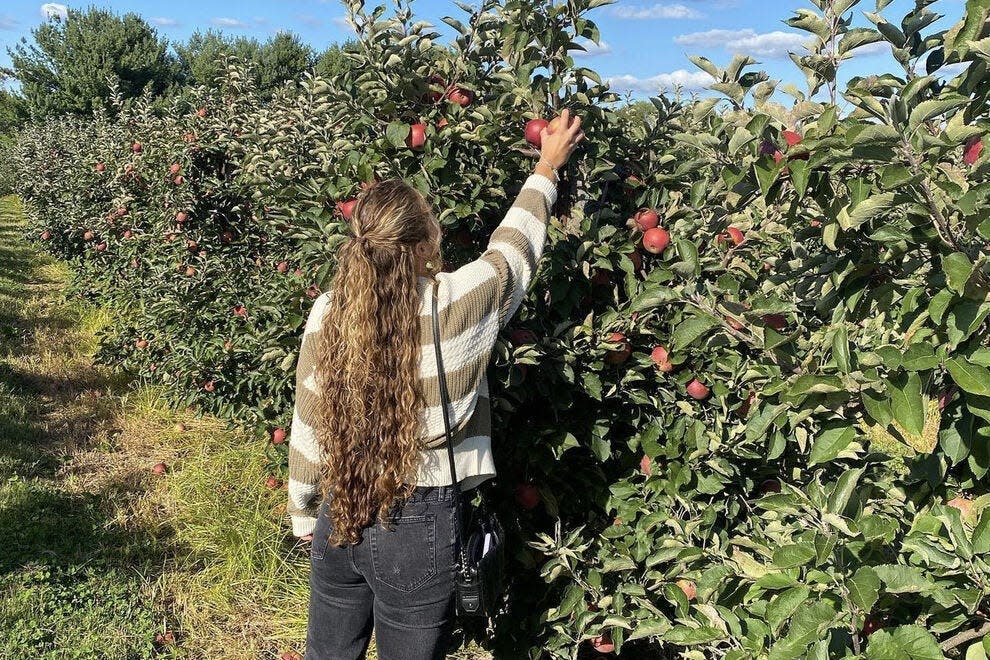 Milburn Orchards