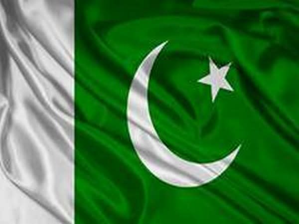 Pakistan flag 