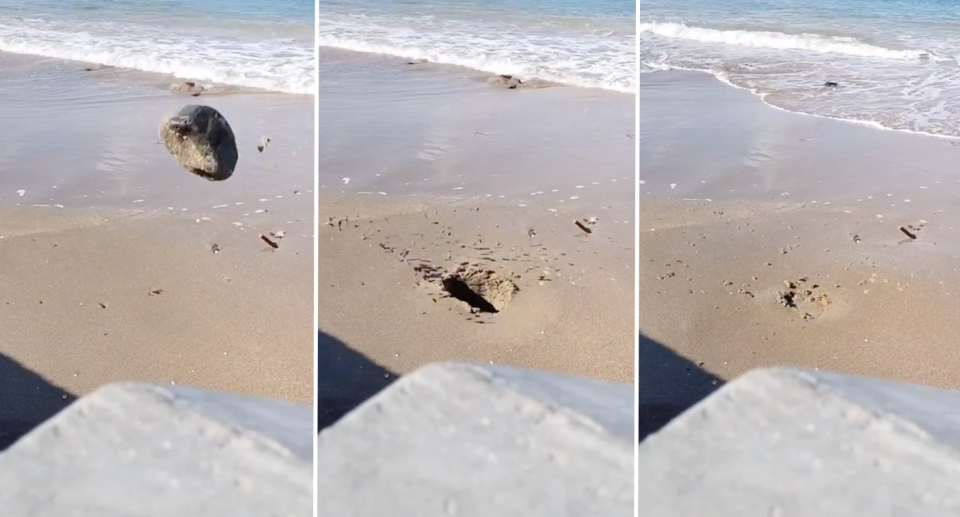 Images of the woman throwing a rock into the quicksand to show it disappearing. 
