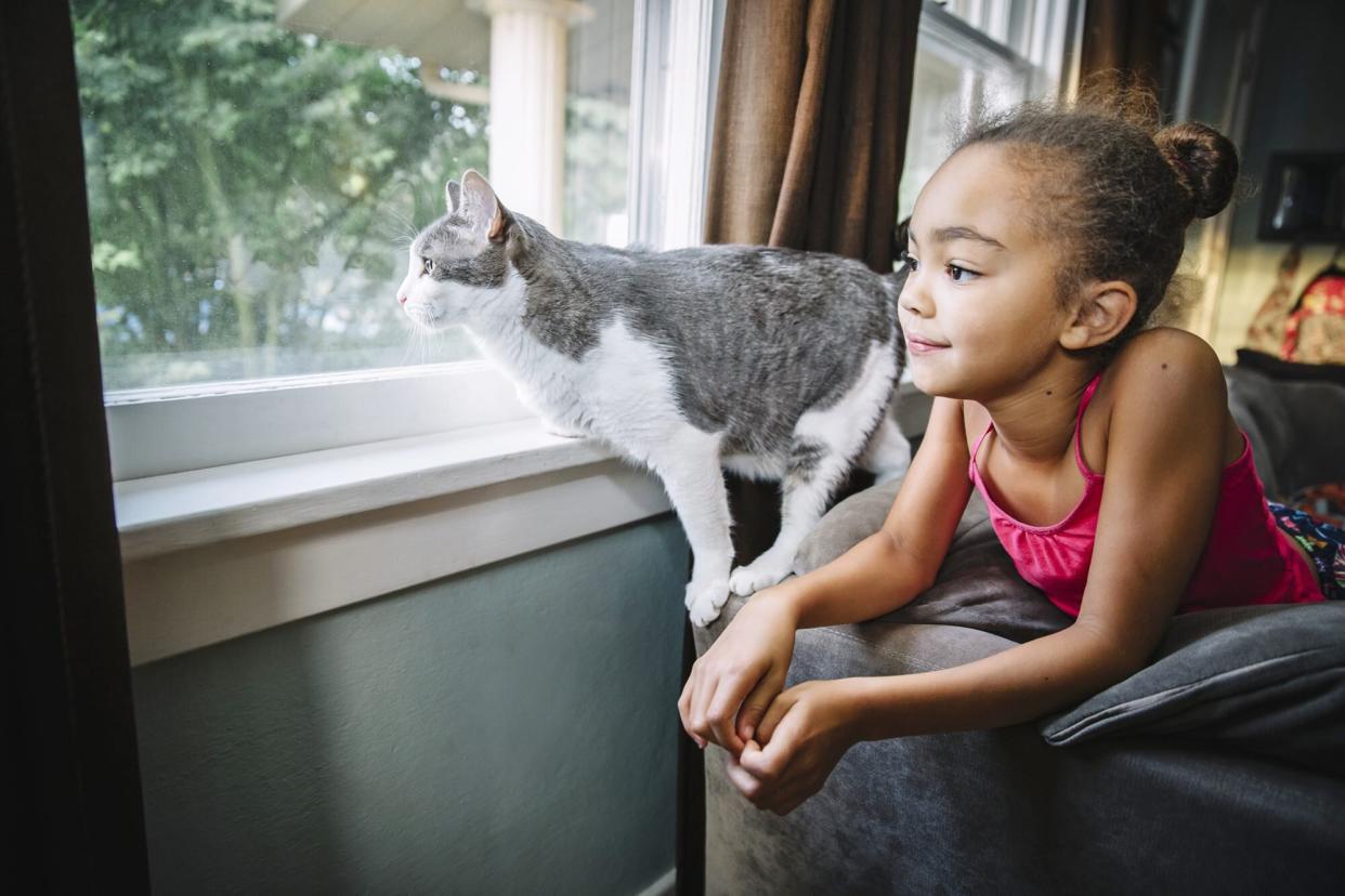 young girl and her cat staring out the window